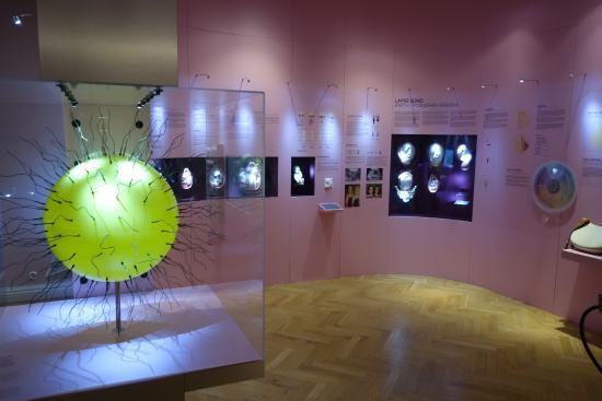 Estonian Health Care Museum